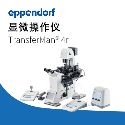 艾本德-TransferMan 4r 電動數控顯微操作儀